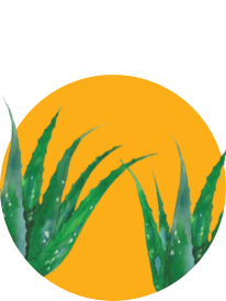 Sun products background