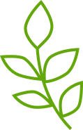 vegetarian logo
