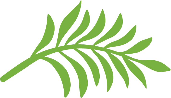 Protect your skin & the earth